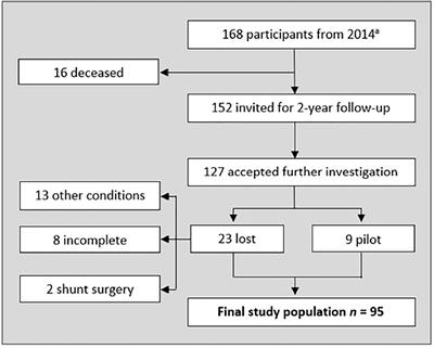 Dual-Task Performance in Older Adults With and Without Idiopathic Normal Pressure Hydrocephalus